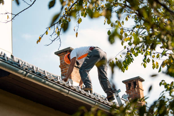 Roof Coating Services in Michigan City, IN
