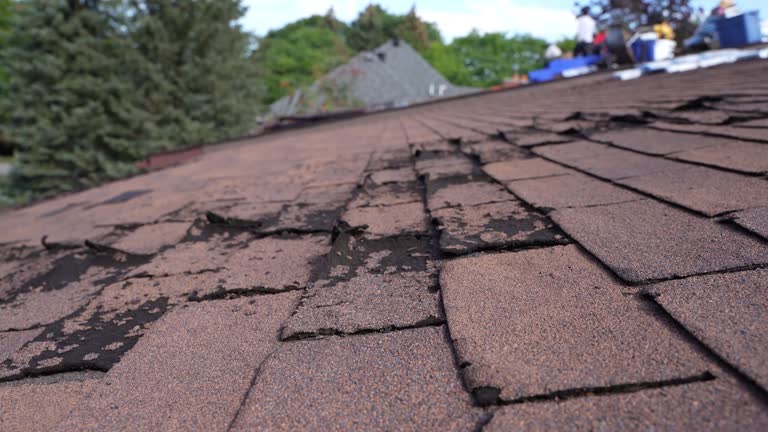 Best Roofing for New Construction  in Michigan City, IN