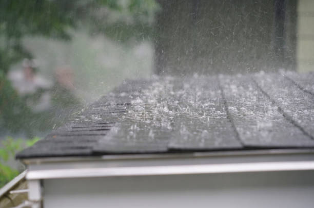 Best Roof Moss and Algae Removal  in Michigan City, IN